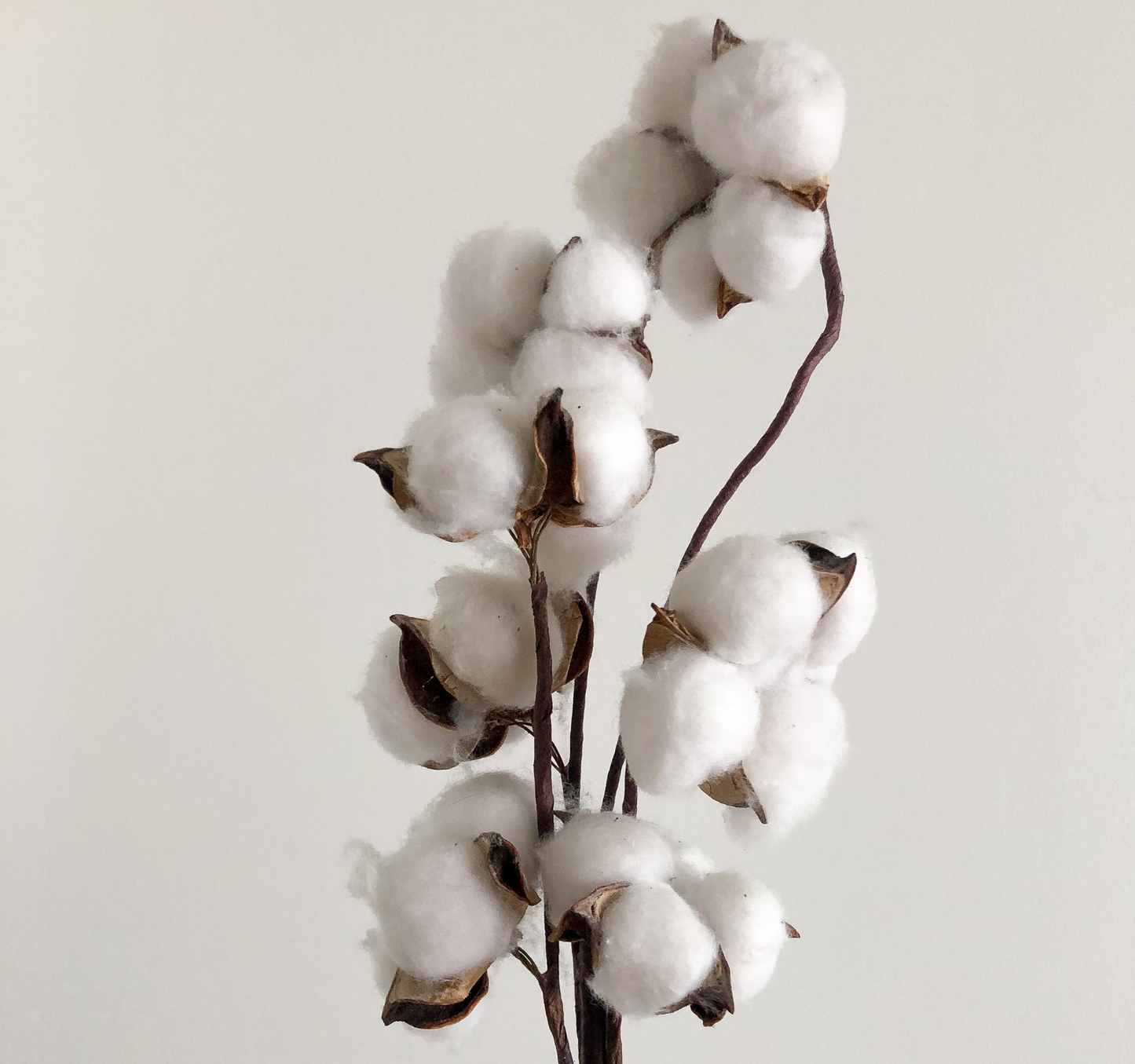 Understanding Fabric: Not All Are Created Equal